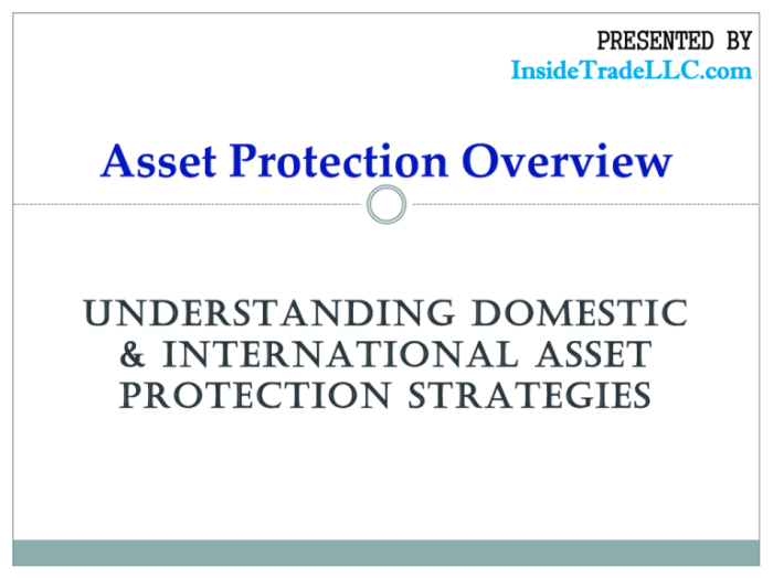 Asset protection assets planning if federal protect basics facing potentially litigation investigation business jiah kim protecting investor estate real