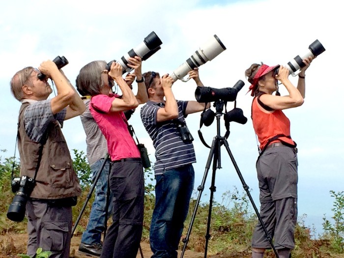 Birdwatching as a Springtime Tradition