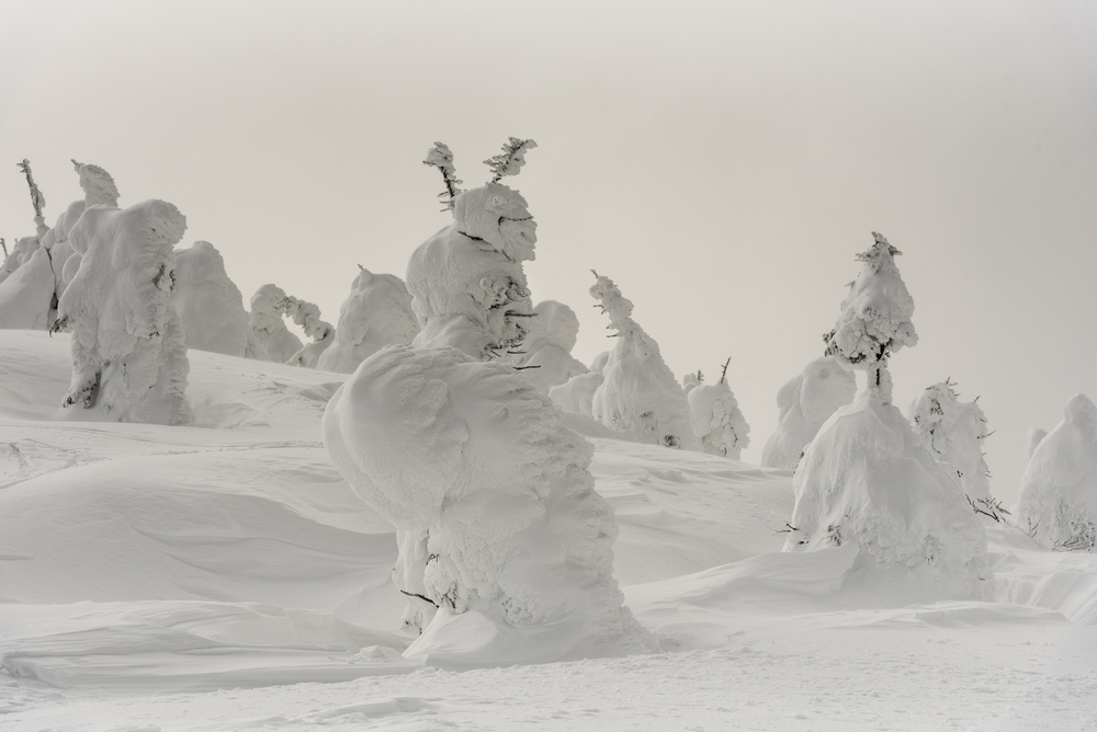 Snow mountain monster princess