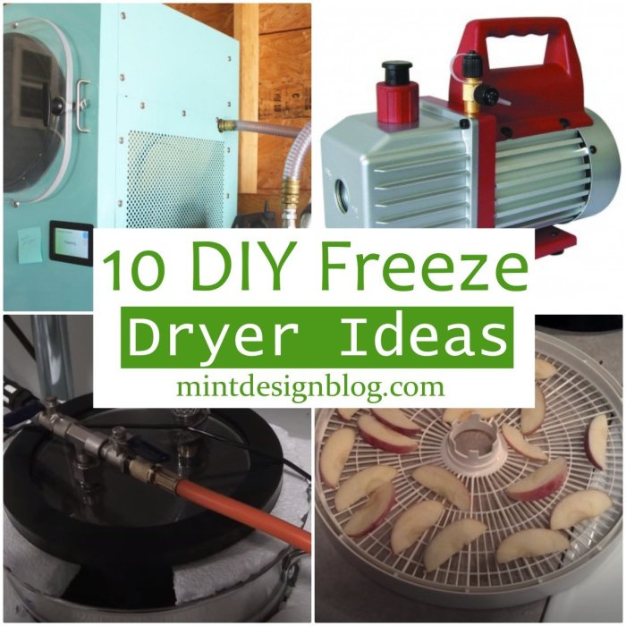 Setting Up Your Freeze Dryer