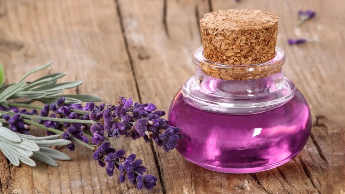 The use of essential oils in perfumes for bug control