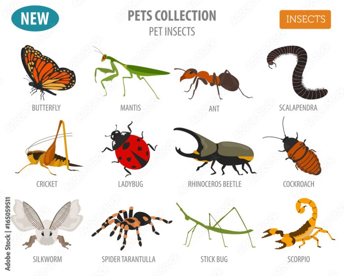 The impact of pets on bug populations