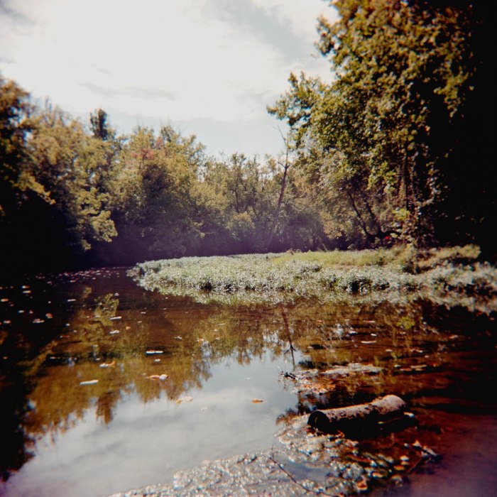 Birdsong in Folk Music: A Springtime Ballad