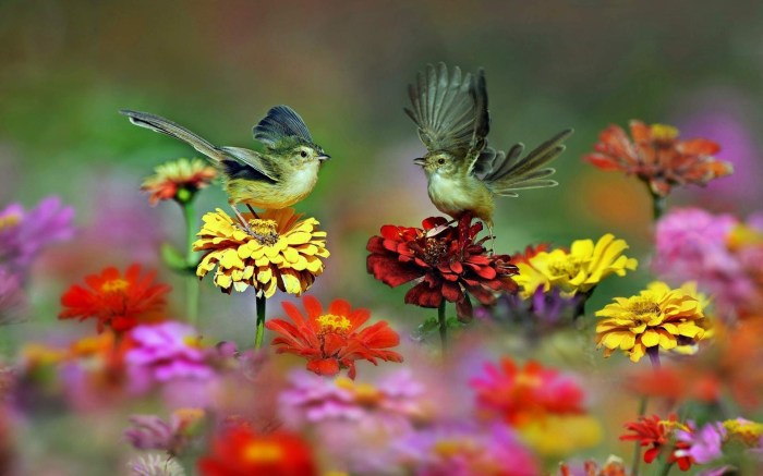 Bird Photography: Capturing the Beauty of Spring