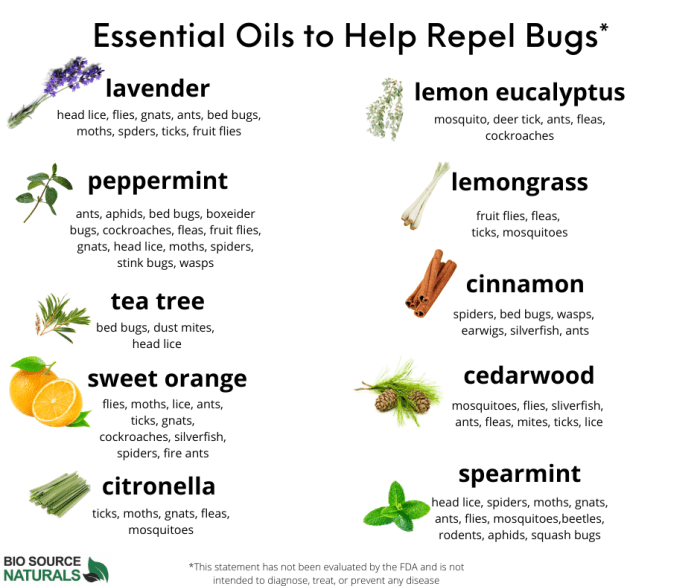 The use of essential oils in pet deodorants for bug control