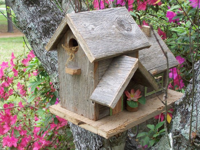 Wooden bird houses