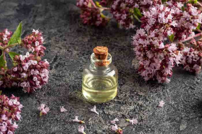 The use of essential oils in air fresheners for bug control