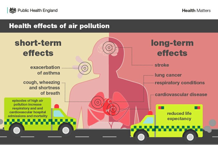 Emissions car cars gases toxic exhaust illegal shock drivers does levels pumps nearly research says every