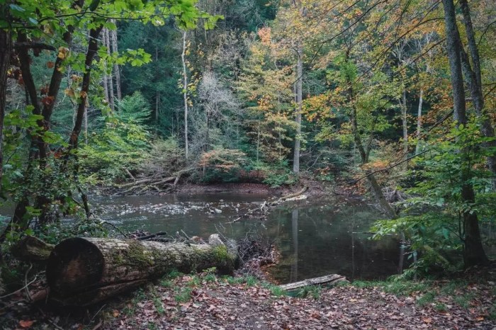 Mohican river unwind