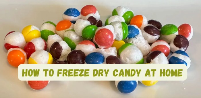 Freeze Drying Candy at Home: A DIY Guide