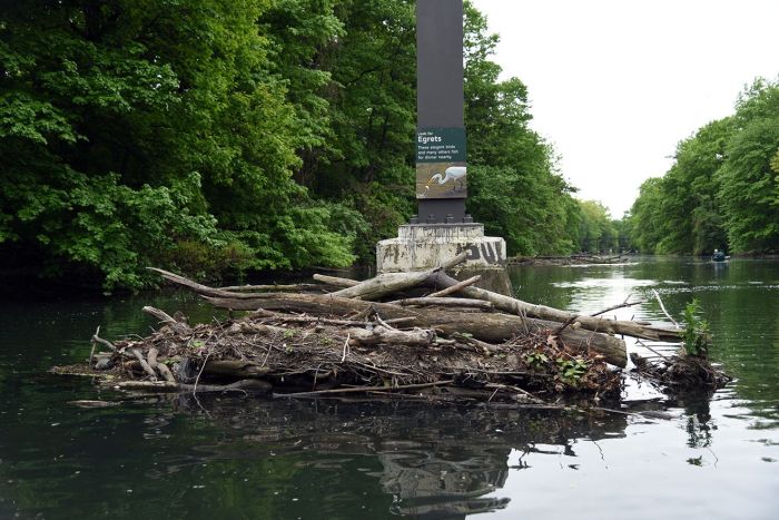 Bronx restored canoeing esplanade