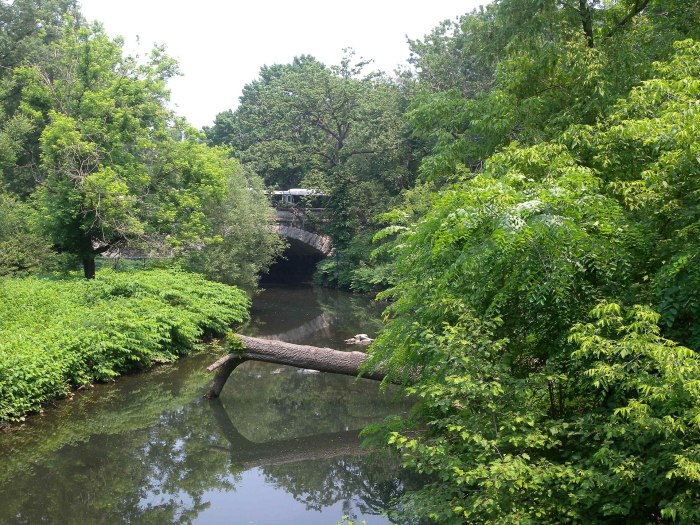 Bronx river groundbreaking thursday