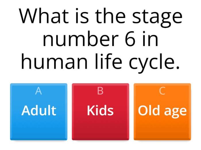 Beginners worksheet