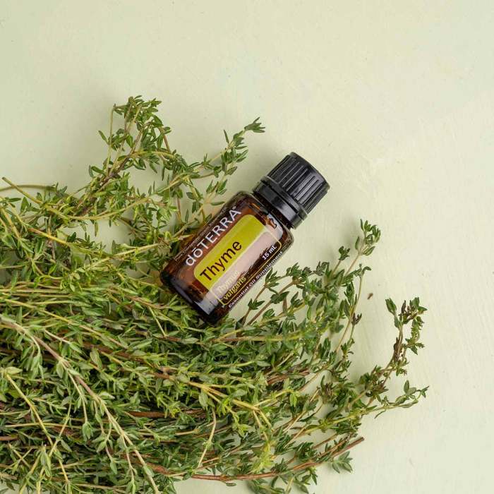 The effectiveness of thyme oil