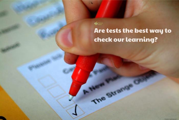 Mini Exams for Formative Quizzes