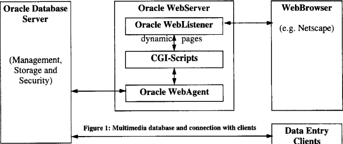 Media convergence server and user adoption design