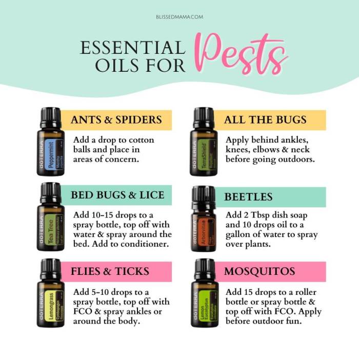 Essential oils repel insects skin bugs hacks twelve heathy keeping road body simplelivingmama repellent california tour visit