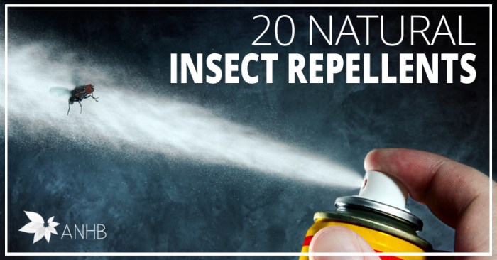 Mosquito natural repellents repellent homemade