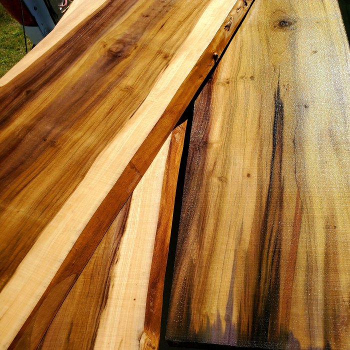 Rainbow poplar wood