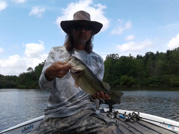 Walleye erie odnr