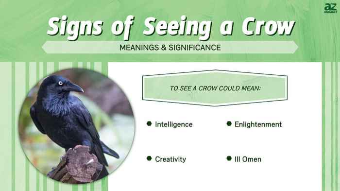 Crows as Symbols of Wisdom and Intelligence