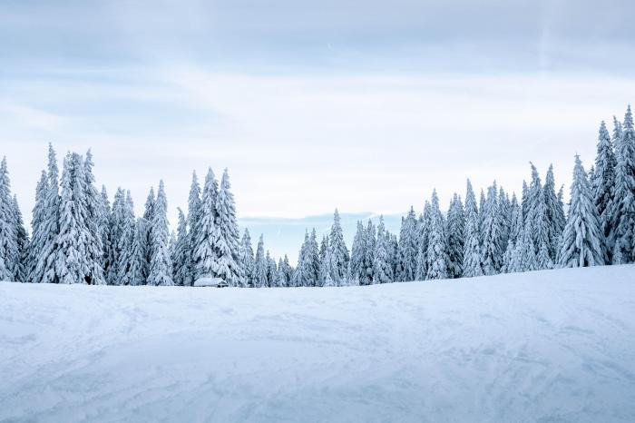 White covering on a mountain