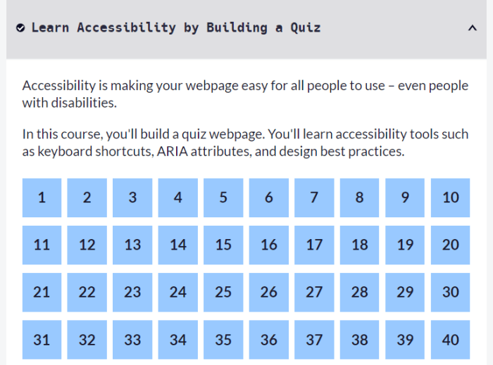 Mini Exams for Quiz Accessibility Tools