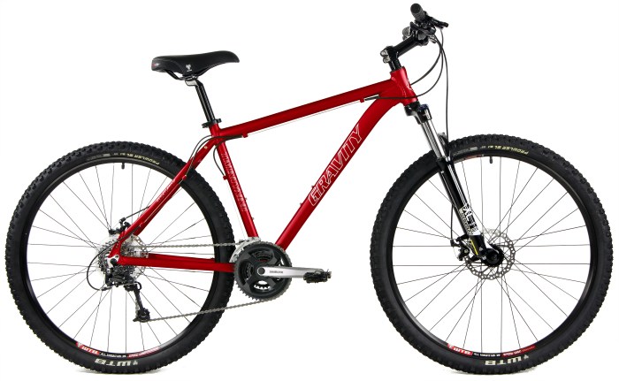 Bike bici mountainbikes sella kolesar mtb soorten comoda corsa sio