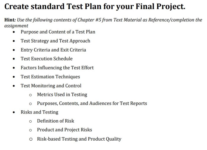 Holistic project test plan