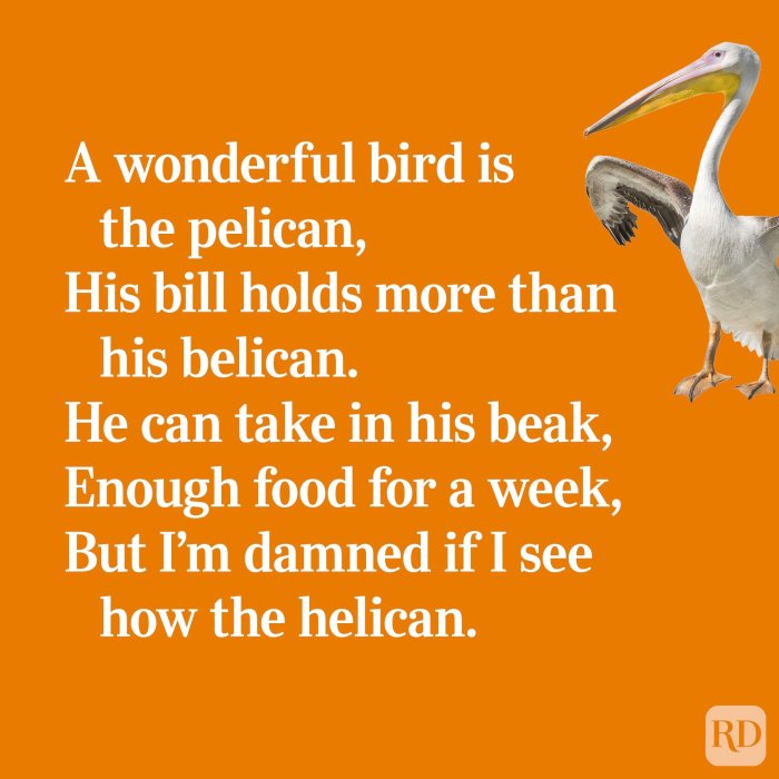 Limerick limericks famous funny most poem poetry poems bird histories their grammarly amateur wonderful corner anyone little man book well