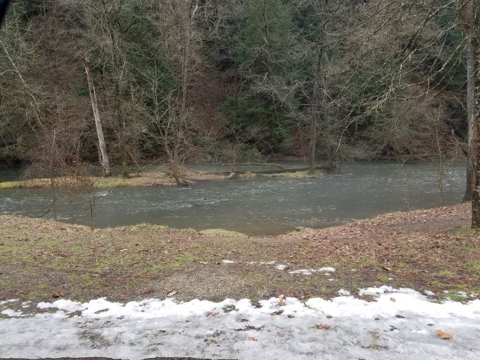 Fish in river that runs thru mohican tate park