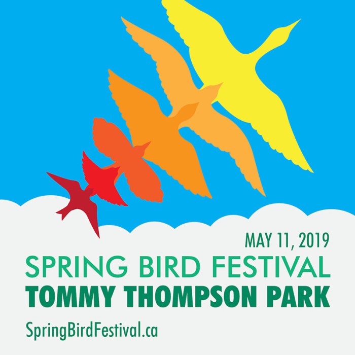 Spring Bird Festivals: Celebrating the Arrival of Spring