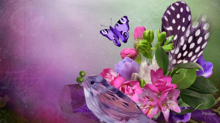 Birds and Butterflies: A Springtime Dance