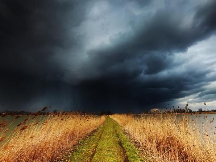 Birds and Thunderstorms: A Springtime Storm