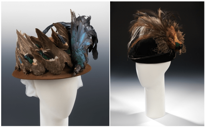 Bird Hats: A Springtime Headwear