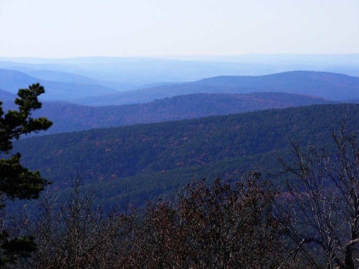 Kiamichi mountains