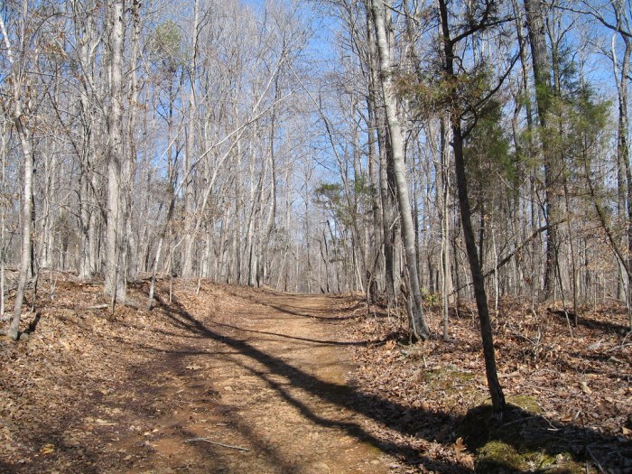 Cox mountain trail