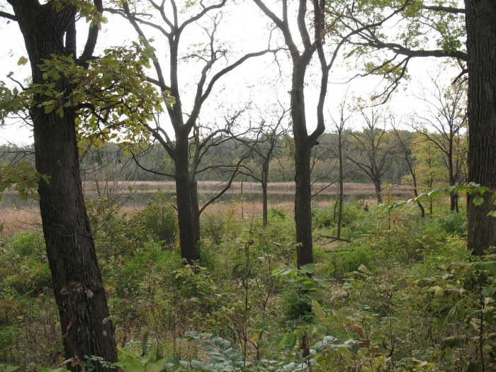 Lyman woods fishing club