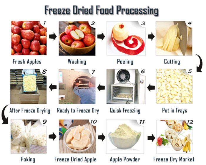 Freeze food drying dry process dried method without diy normal methods instructions