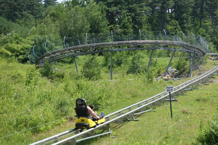 Cranmore coaster