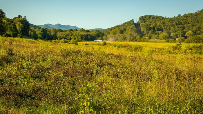 Mountain city ga