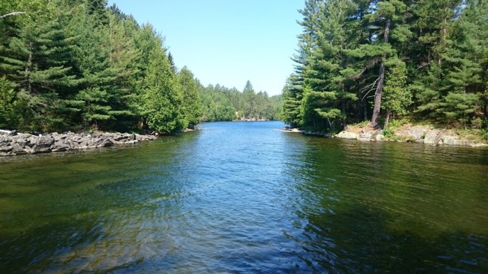 Rio kayaking narrow