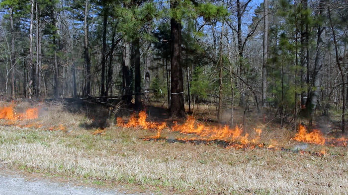 Counties burn but impacting arkansas ban