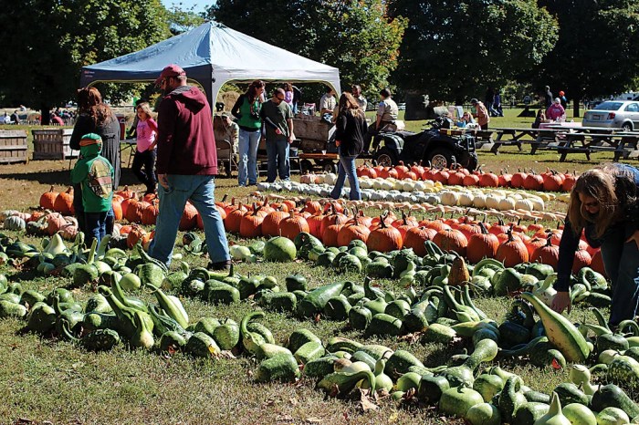 Graves mountain lodge apple festival