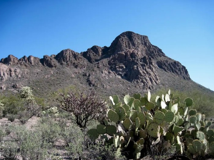 Mountain cat tucson arizona cerro gato del summitpost ruggedly sonoran bold rises desert floor west