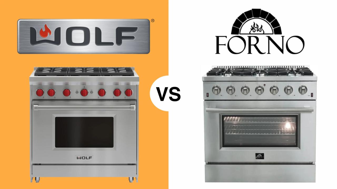 Wolf ovens series oven wall steam vs