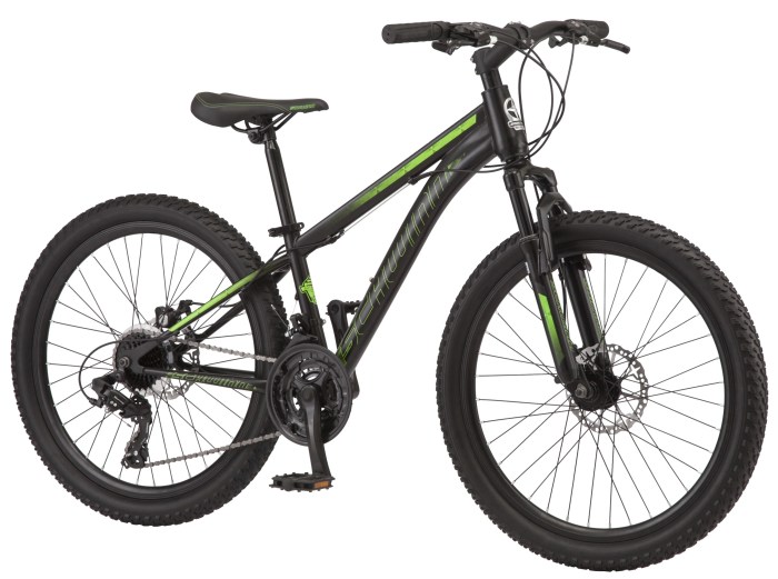 Bike schwinn 24 mountain sidewinder inch green wheels speeds review