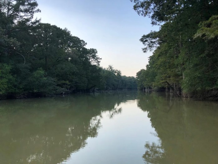 Cache river at patterson