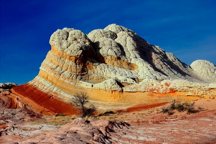 Big rock candy mountain stl