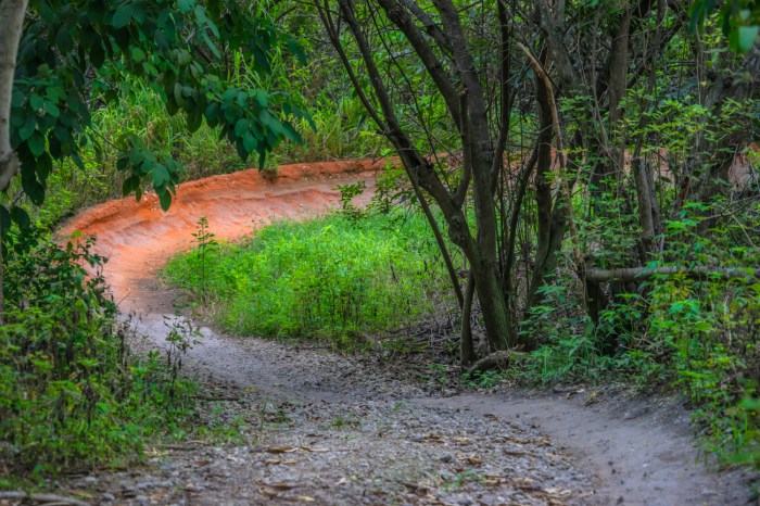 Markham bike trails mountain park